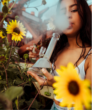 THC Consumption